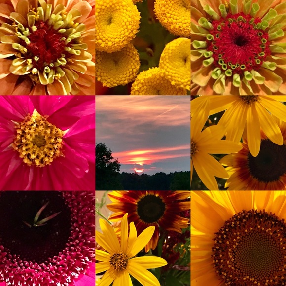 Meet your Posher, Andrea - Picture 2 of 8